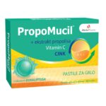 PROPOMUCIL PASTILE EUKALIPTUS A 24